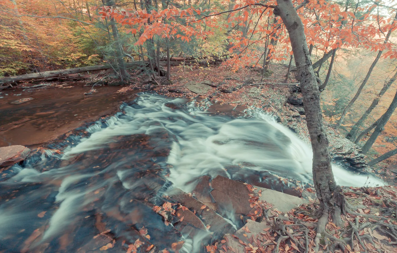 Фото обои осень, природа, река, камни, поток