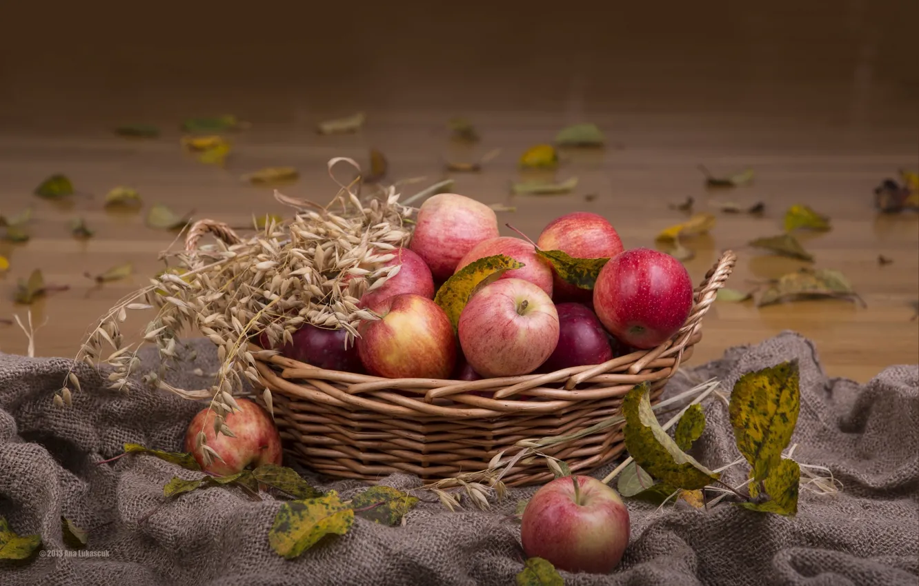 Фото обои корзина, яблоки, колосья