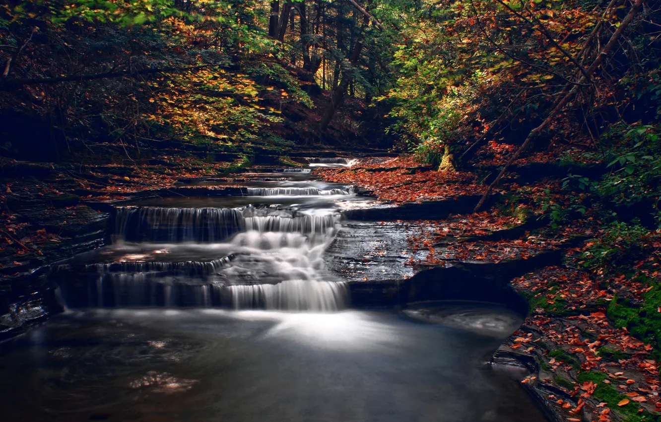 Фото обои осень, лес, река, ручей, каскад
