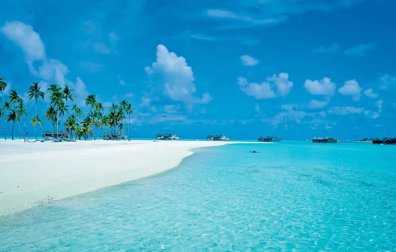 Фото обои пляж, пальмы, океан, остров, курорт