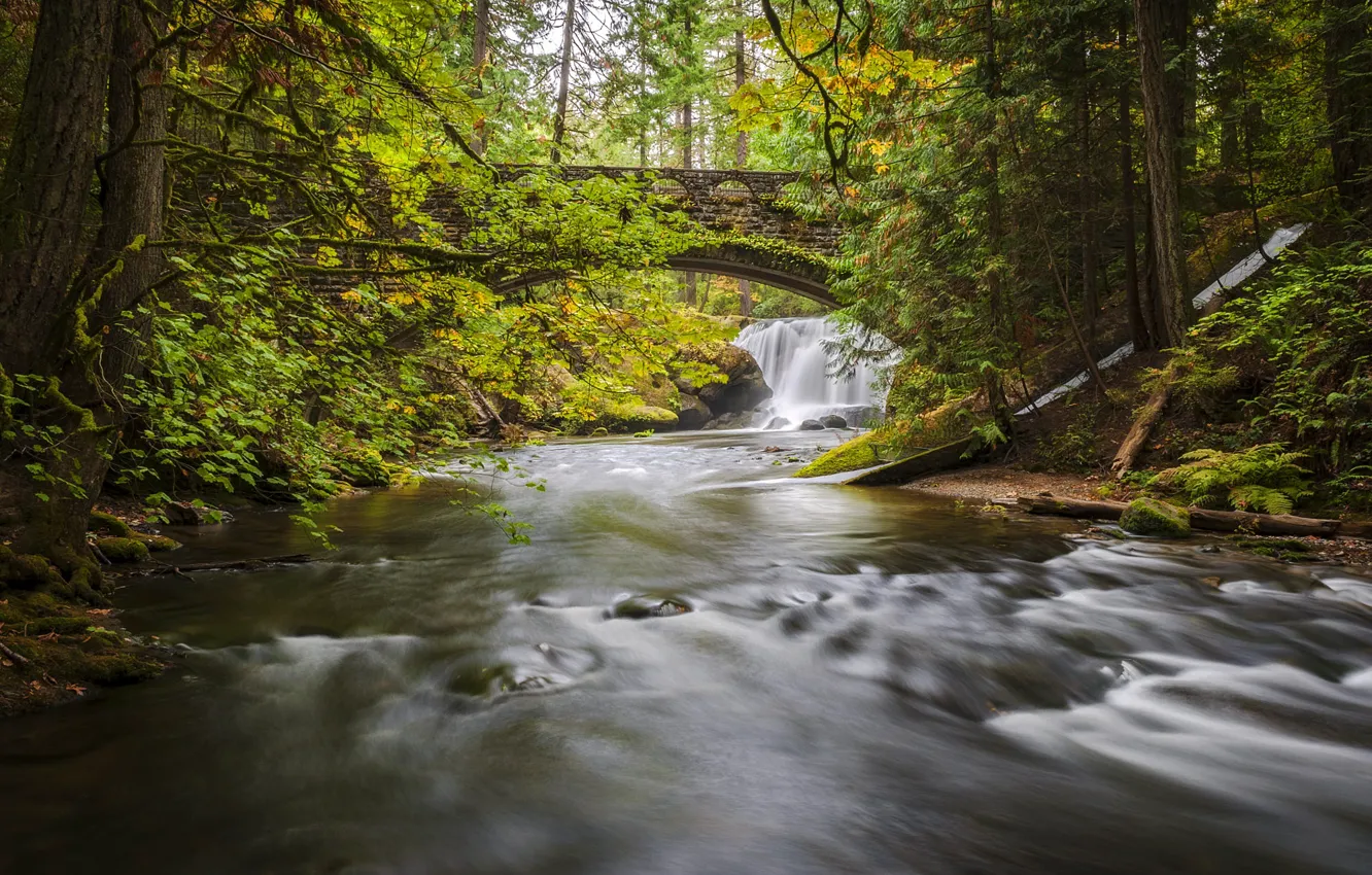 Фото обои USA, Bellingham, Washington state, Whatcom falls park