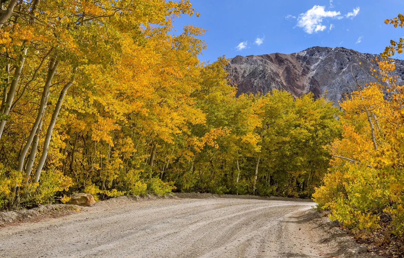 Фото обои дорога, осень, лес, небо, горы