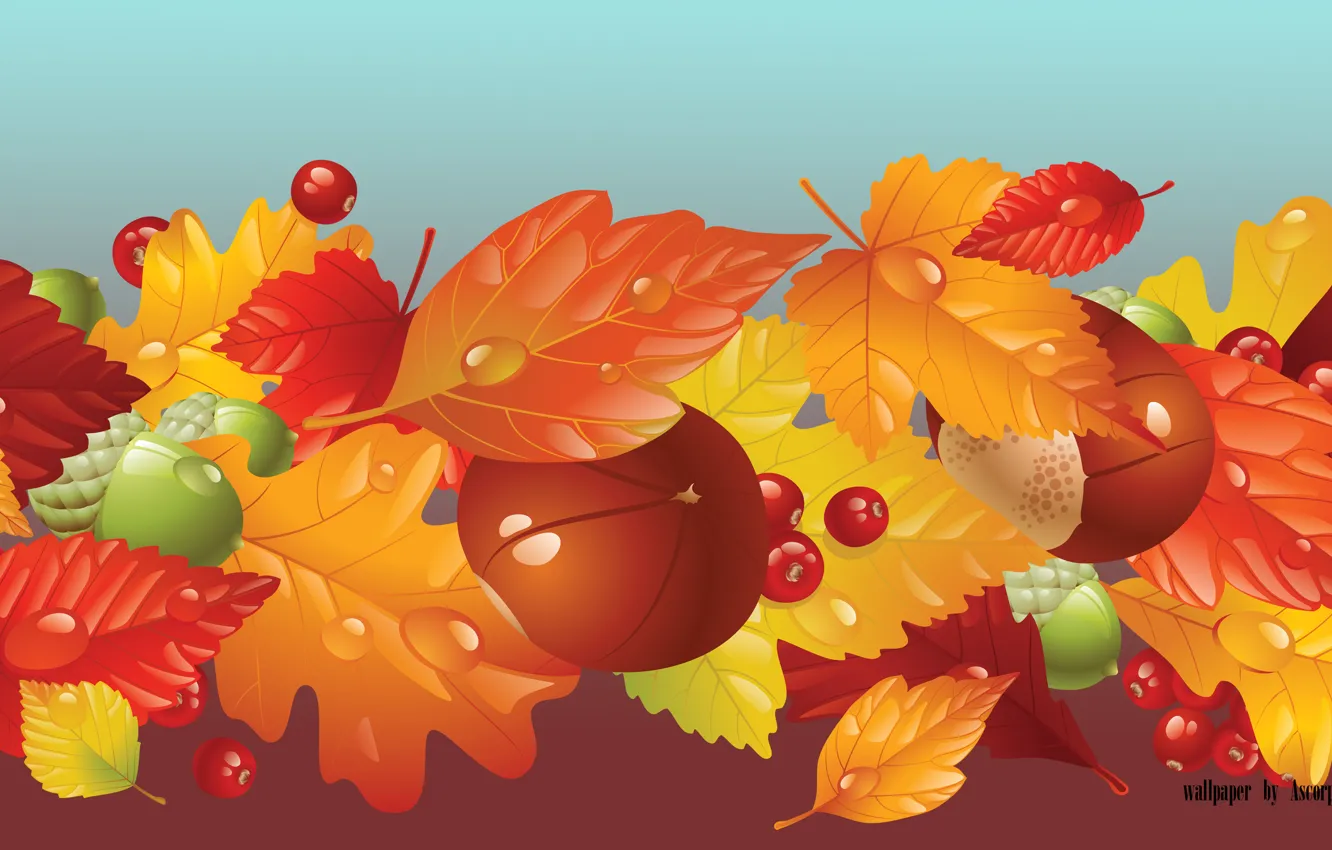 Фото обои осень, листва, грибы, fall, жёлуди