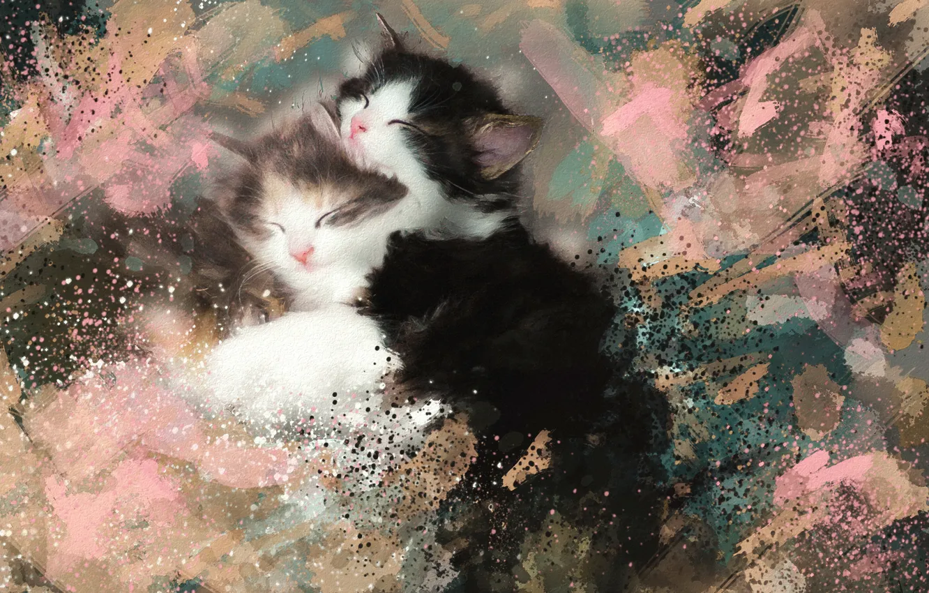 Фото обои картина, акварель, котята, пушистые, мазки, спят, черно-белые, обои от lolita777