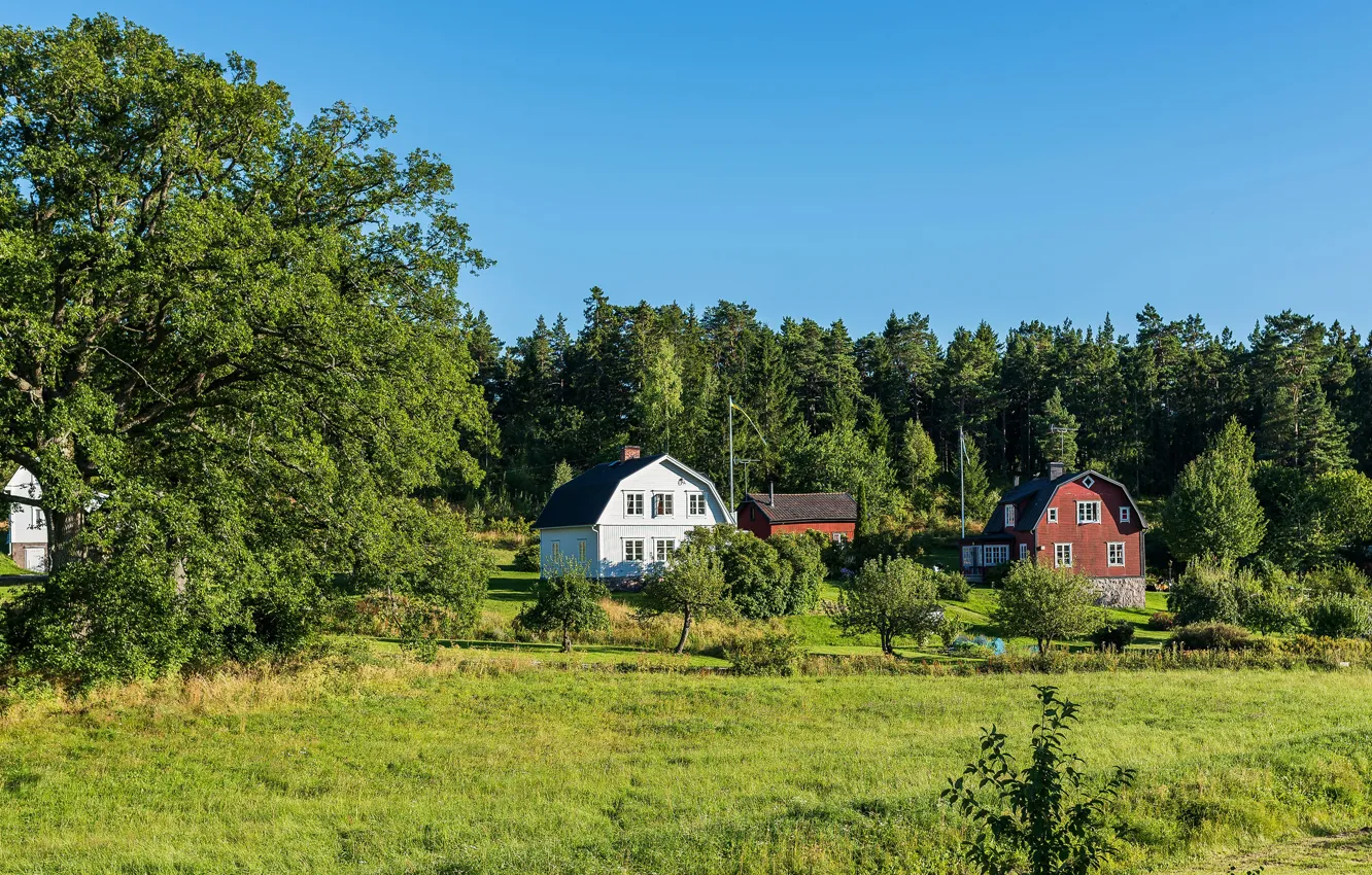 Фото обои зелень, лето, небо, трава, солнце, деревья, домики, Стокгольм