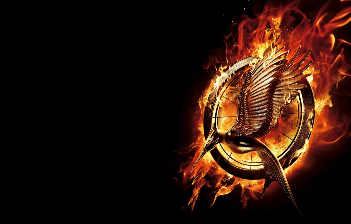 Фото обои огонь, эмблема, Китнисс Эвердин, Katniss Everdeen, The Hunger Games 2, Голодные Игры 2, The Hunger …