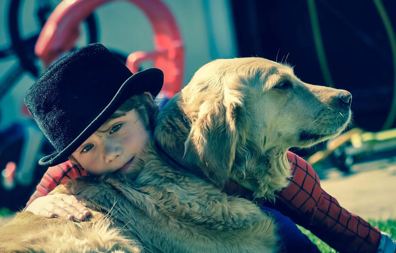 Фото обои собака, шляпа, мальчик, друзья
