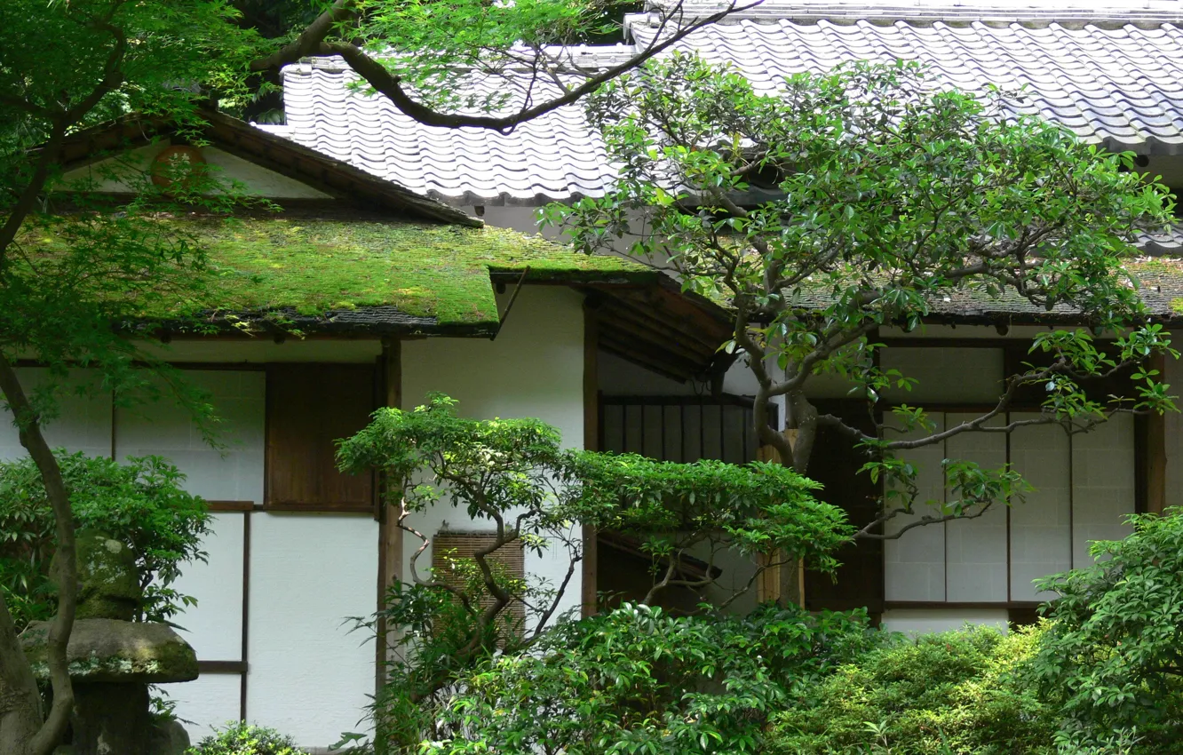 Фото обои крыша, зелень, деревья, дом, мох, сад, Азия, черепица