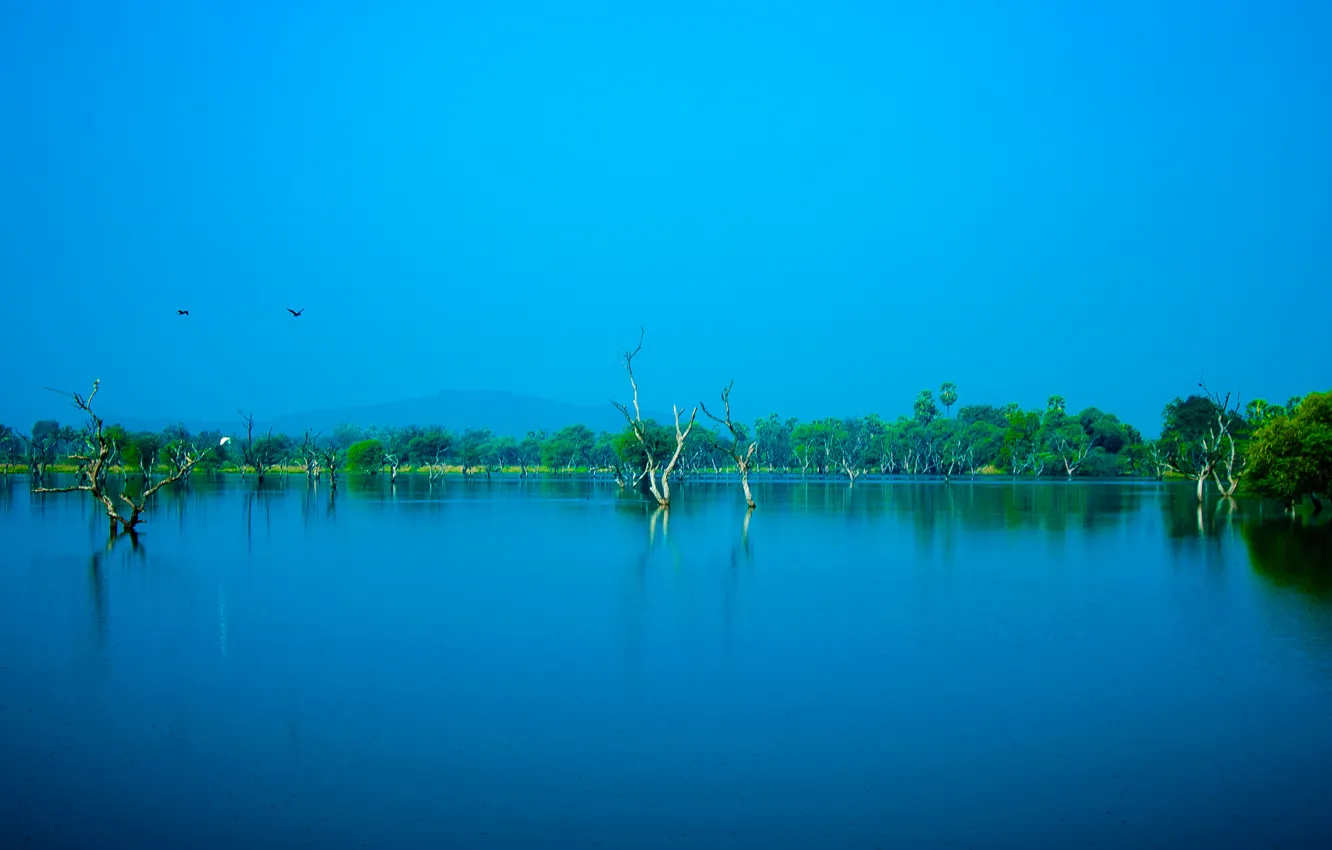 Фото обои Nature, Sky, Blue, Water, Trees
