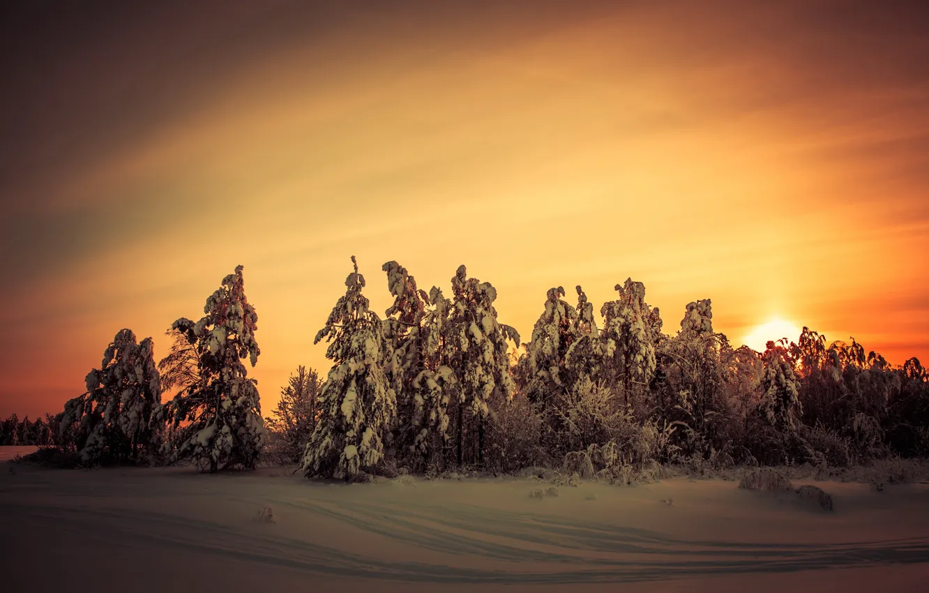 Фото обои зима, пейзаж, закат, природа