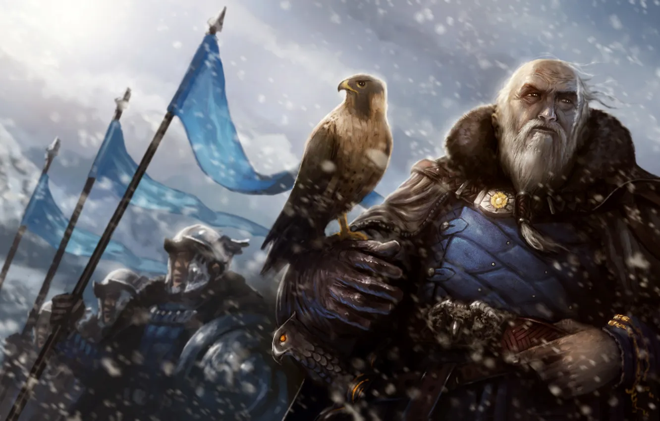 Фото обои снег, горы, ветер, птица, армия, арт, старик, сокол