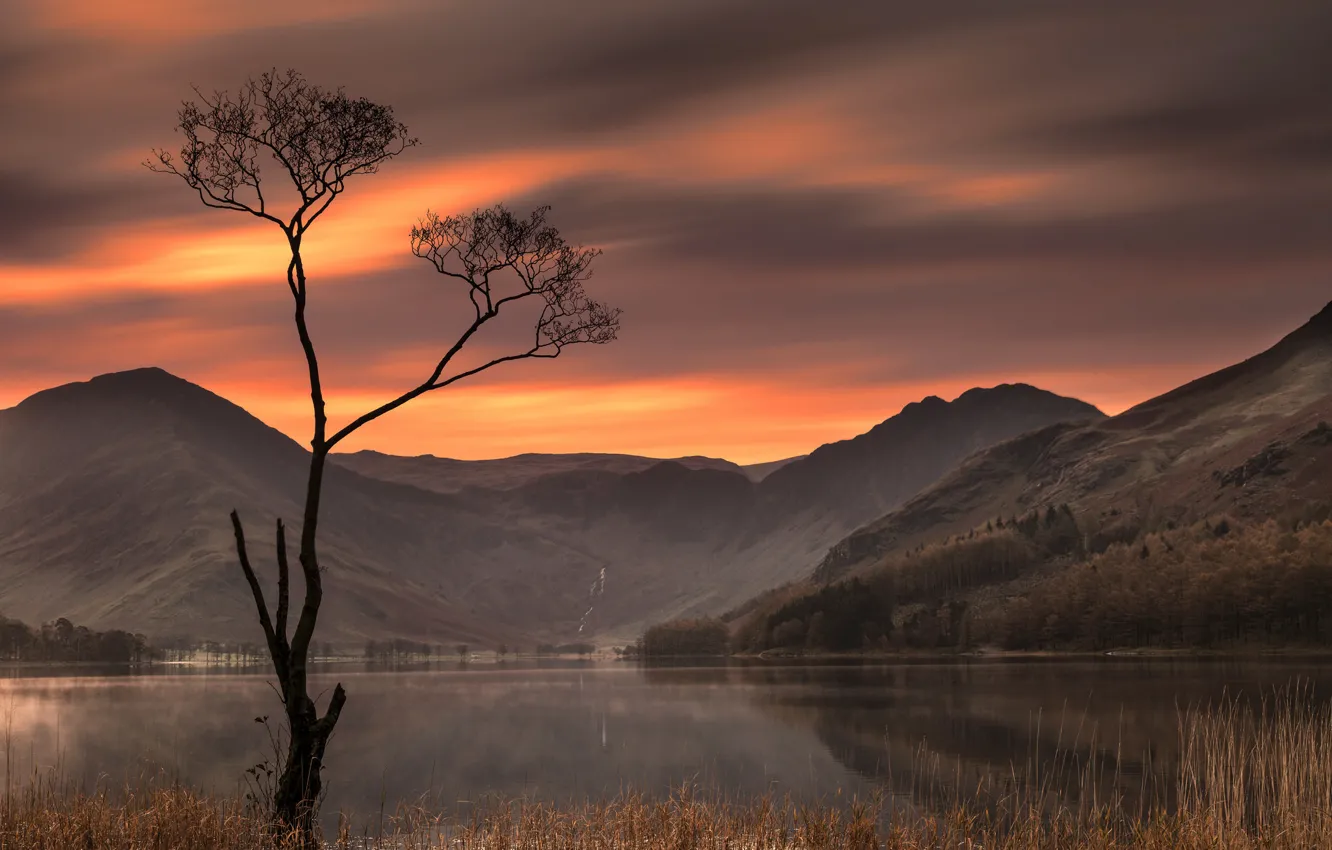 Фото обои закат, горы, озеро, дерево, Англия, England, Озёрный край, Lake District