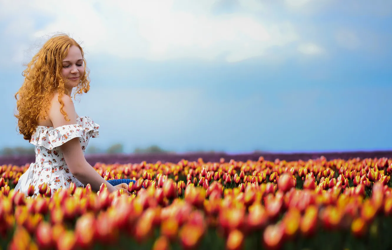 Фото обои лето, девушка, тюльпаны
