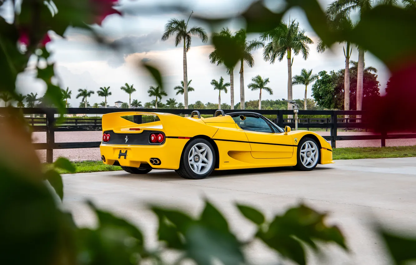 Фото обои Ferrari, спорткар, кабриолет, 1995, F50, Ferrari F50