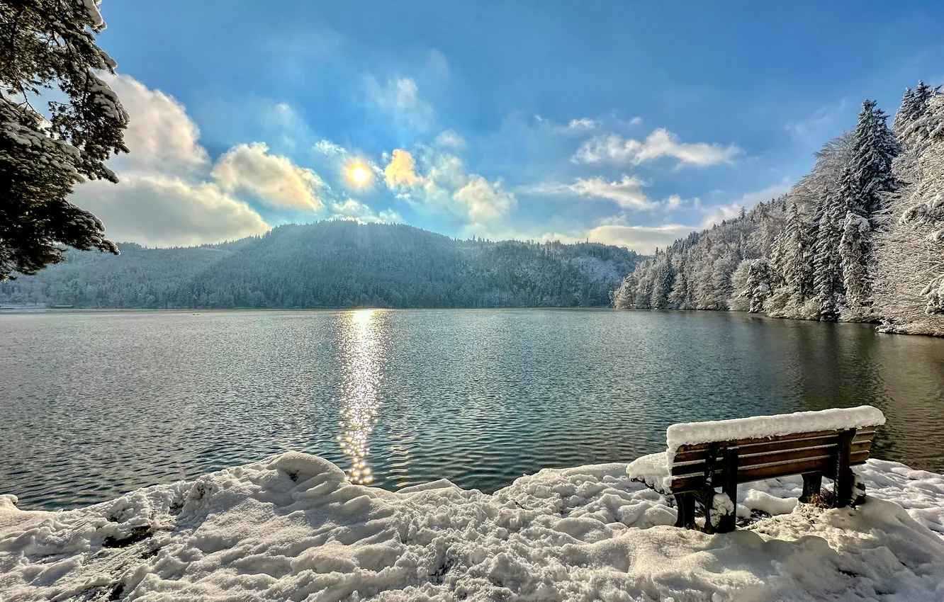 Фото обои зима, лес, снег, горы, озеро, скамья