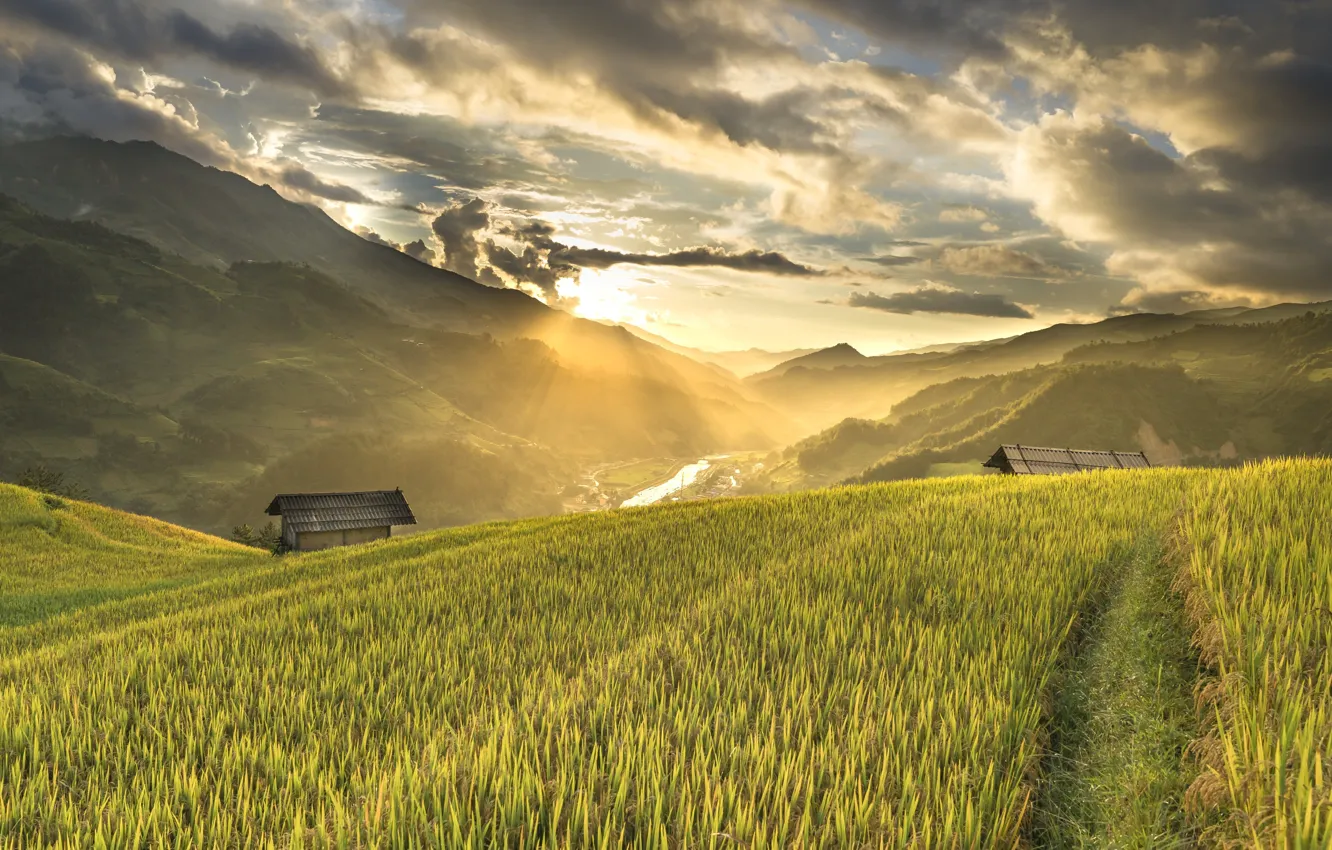 Фото обои горы, склон, домик, Вьетнам, рисовые плантации