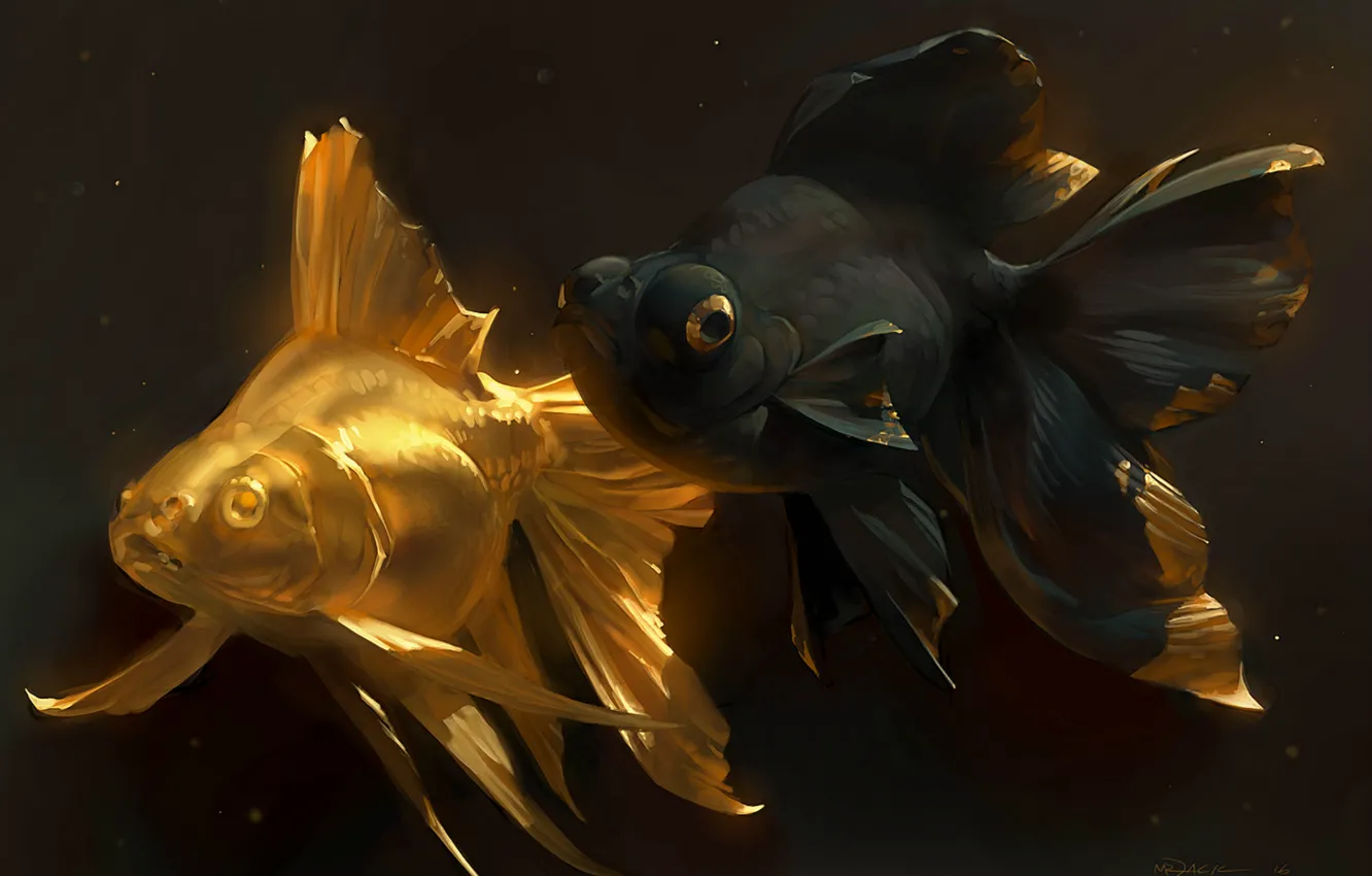 Фото обои рыбки, арт, золотая рыбка, парочка, golden fish