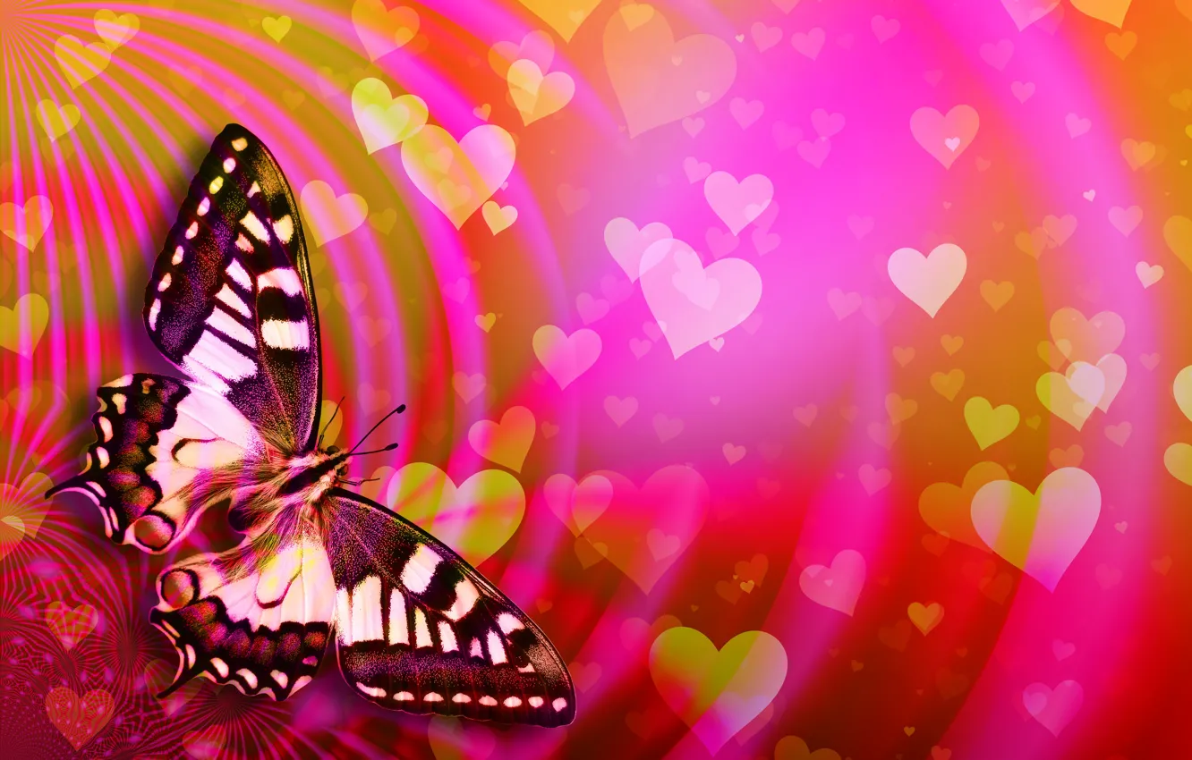 Фото обои бабочка, сердечки, День Святого Валентина
