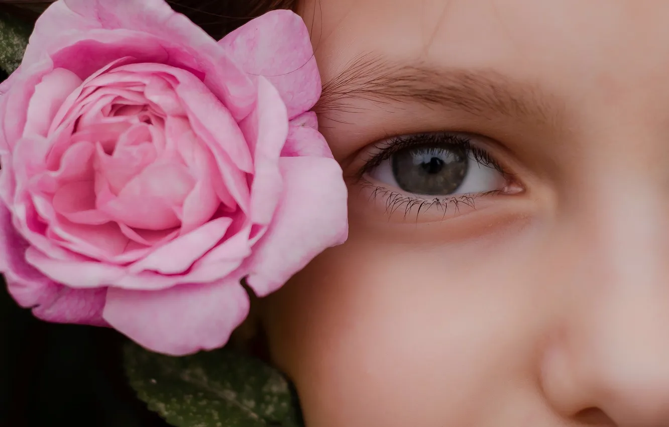 Фото обои девушка, лицо, глаз, роза, Raspopova Marina