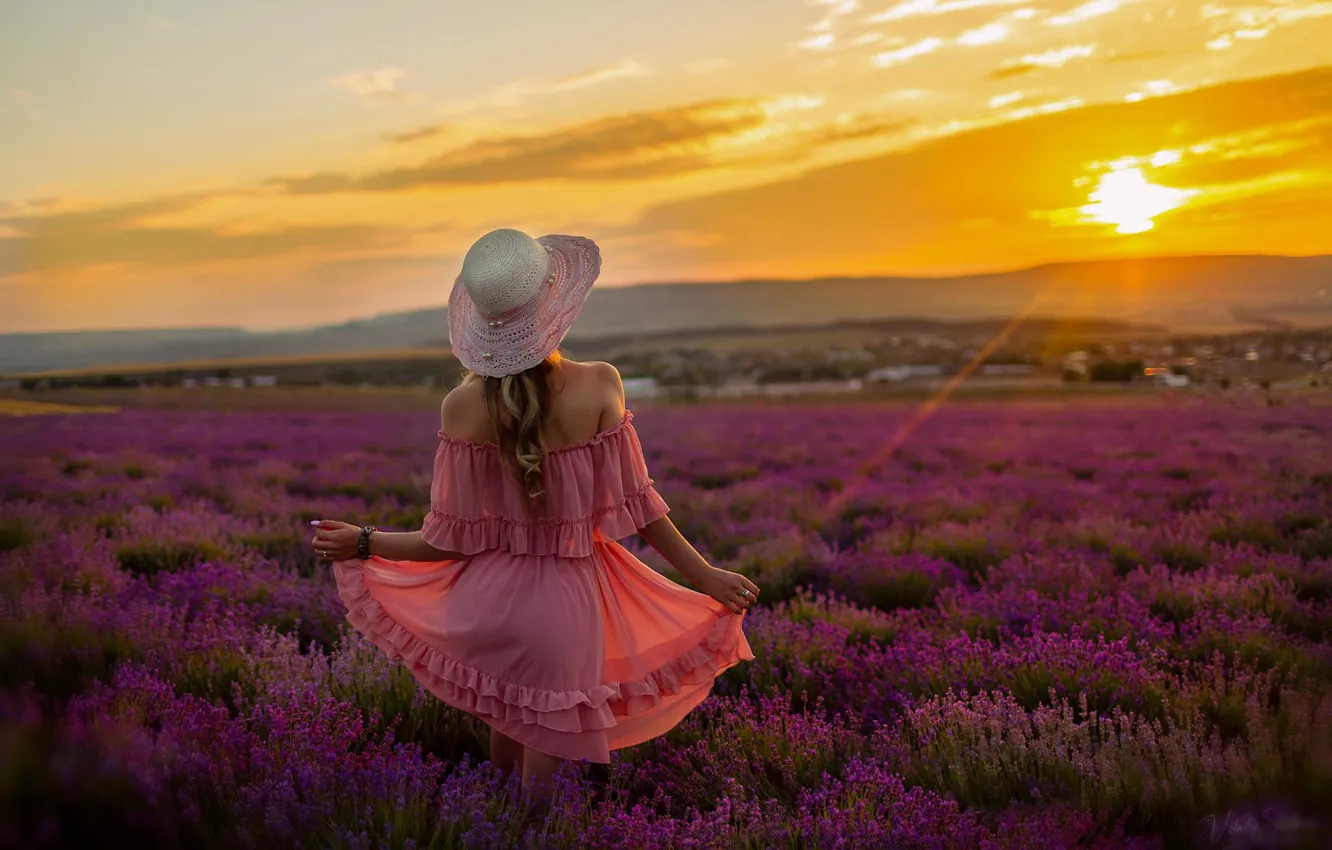 Фото обои поле, лето, девушка, закат, цветы, природа, фото, модель