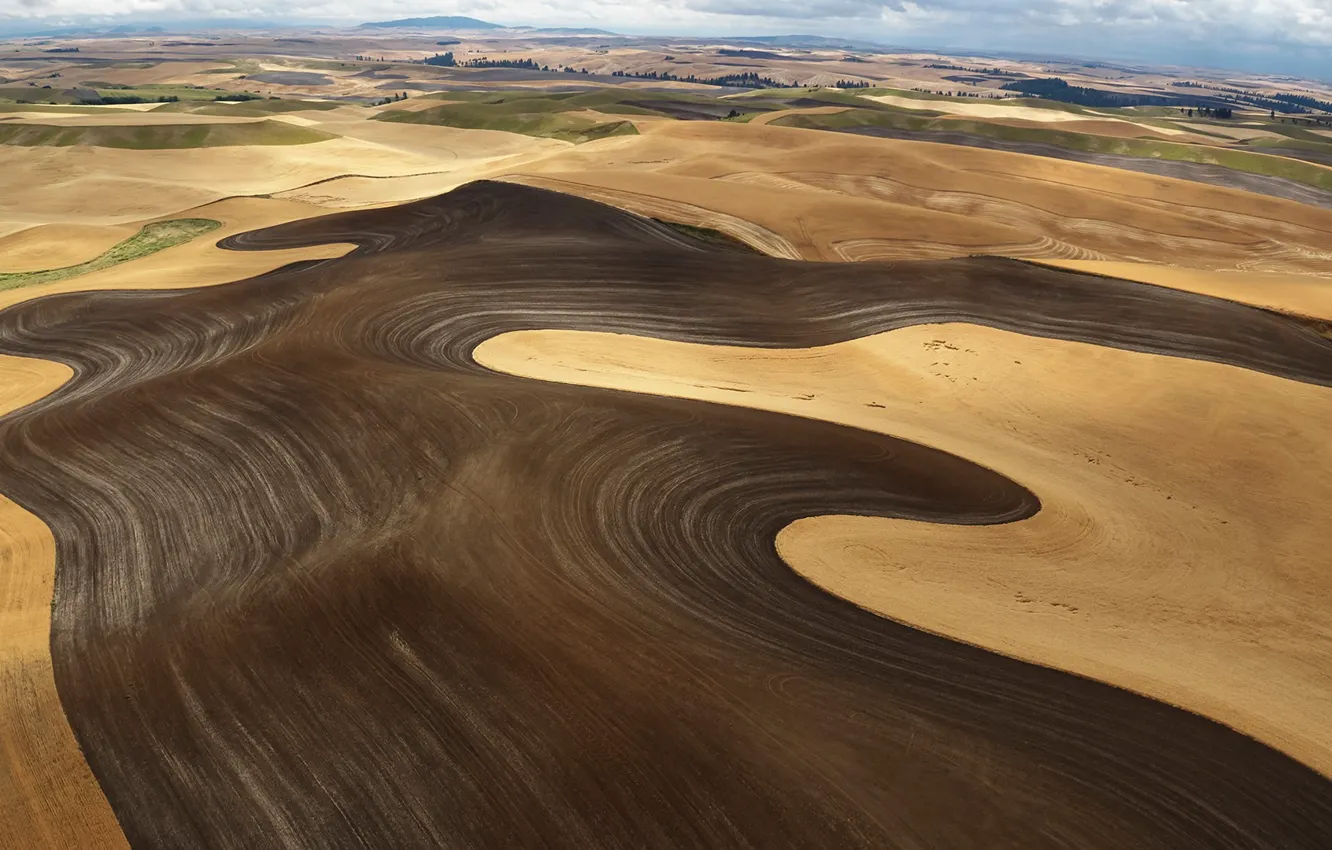 Фото обои цвета, ландшафт, поля, уборка, wheat field, Washington state, урожая, Palouse hills