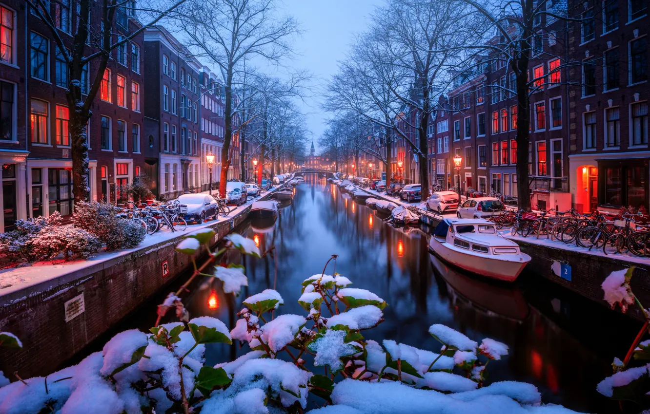 Фото обои снег, деревья, транспорт, канал, Amsterdam - My Home