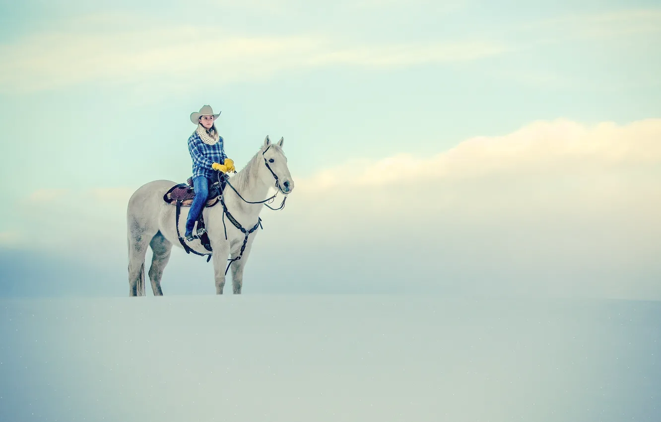 Фото обои winter, horse, cowgirl