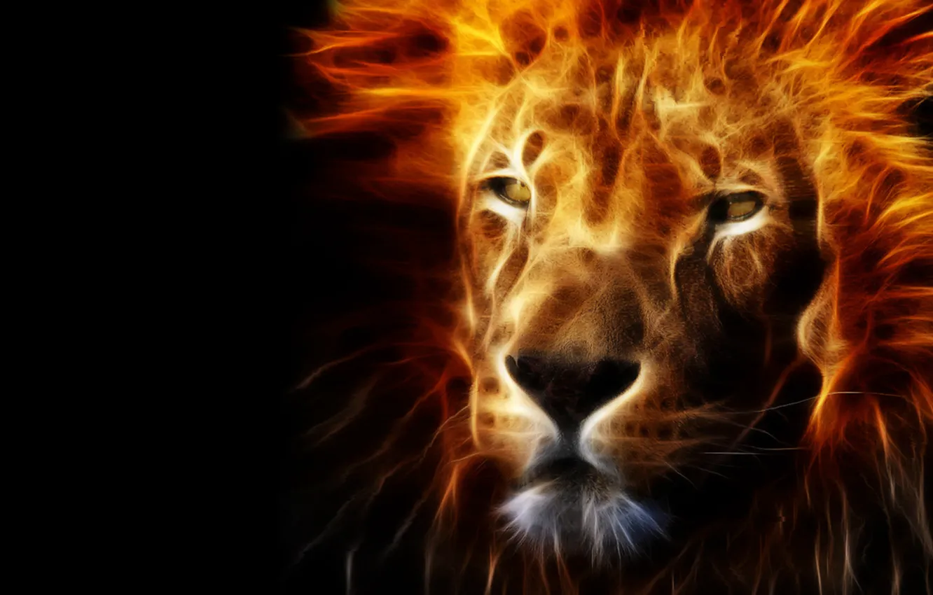 Фото обои огонь, хищник, лев