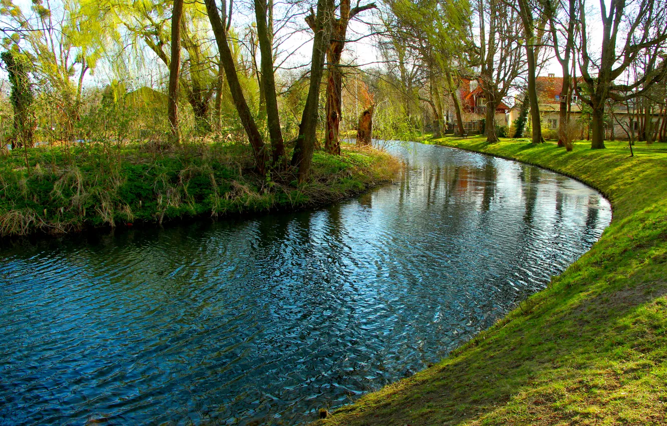 Фото обои water, brook, park