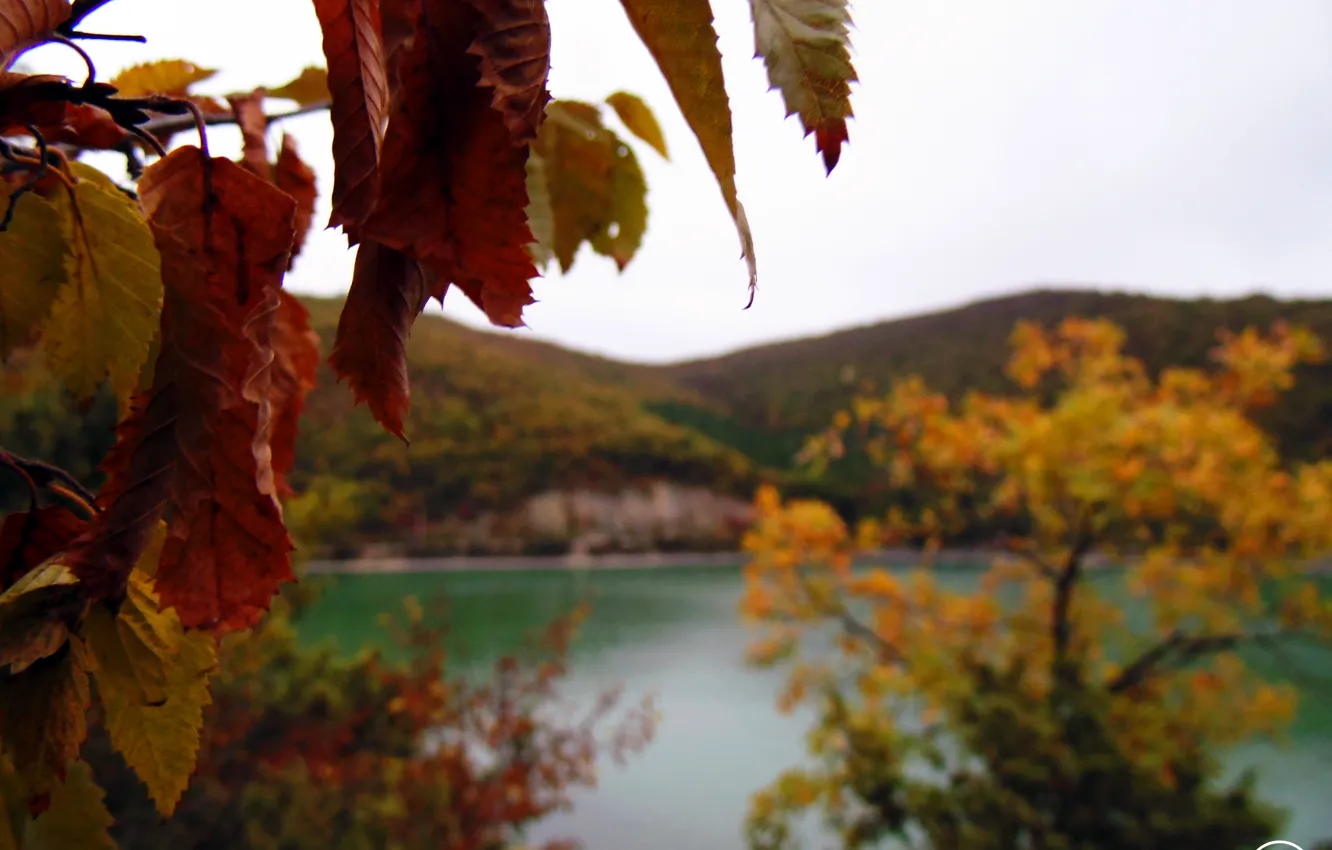 Фото обои осень, небо, листья, макро, горы, озеро, село, октябрь