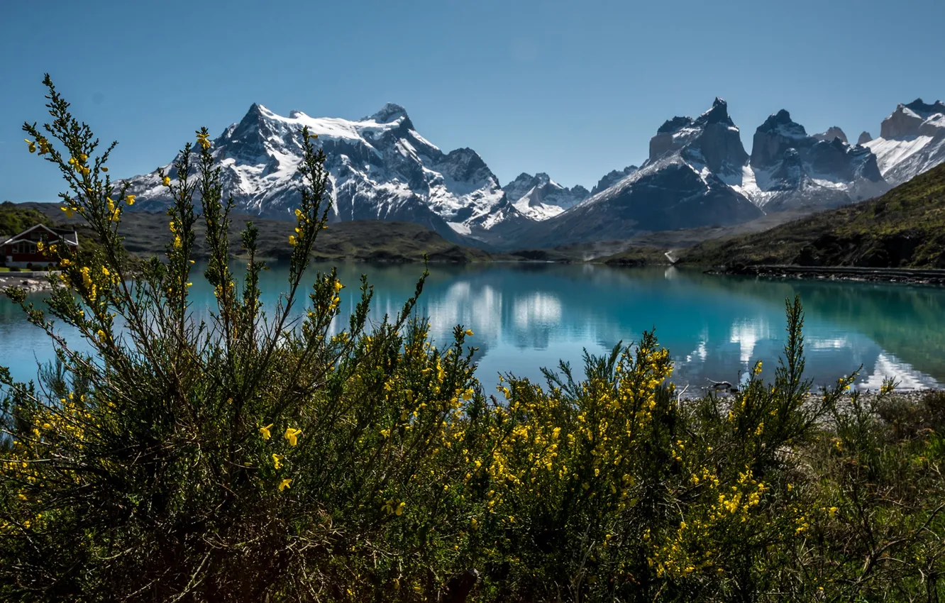 Фото обои горы, озеро, дом, берег, кусты, Чили
