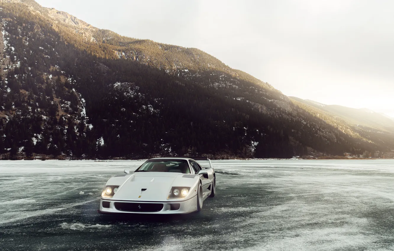 Фото обои car, Ferrari, supercar, f40