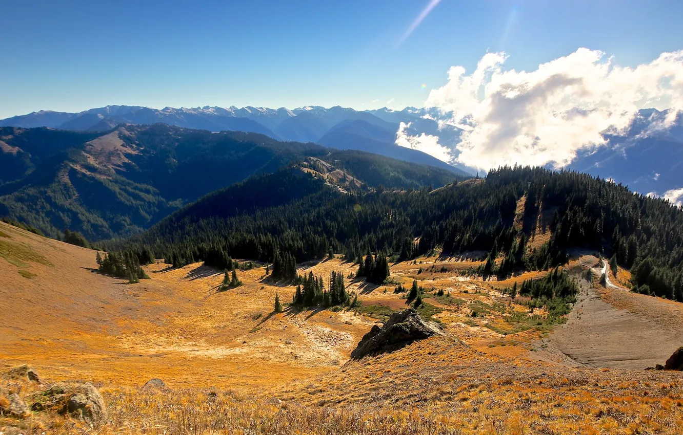 Фото обои небо, облака, горы, долина, США, Hurricane Ridge