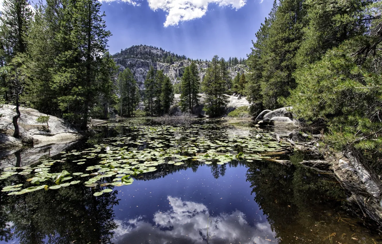 Фото обои небо, пейзаж, озеро