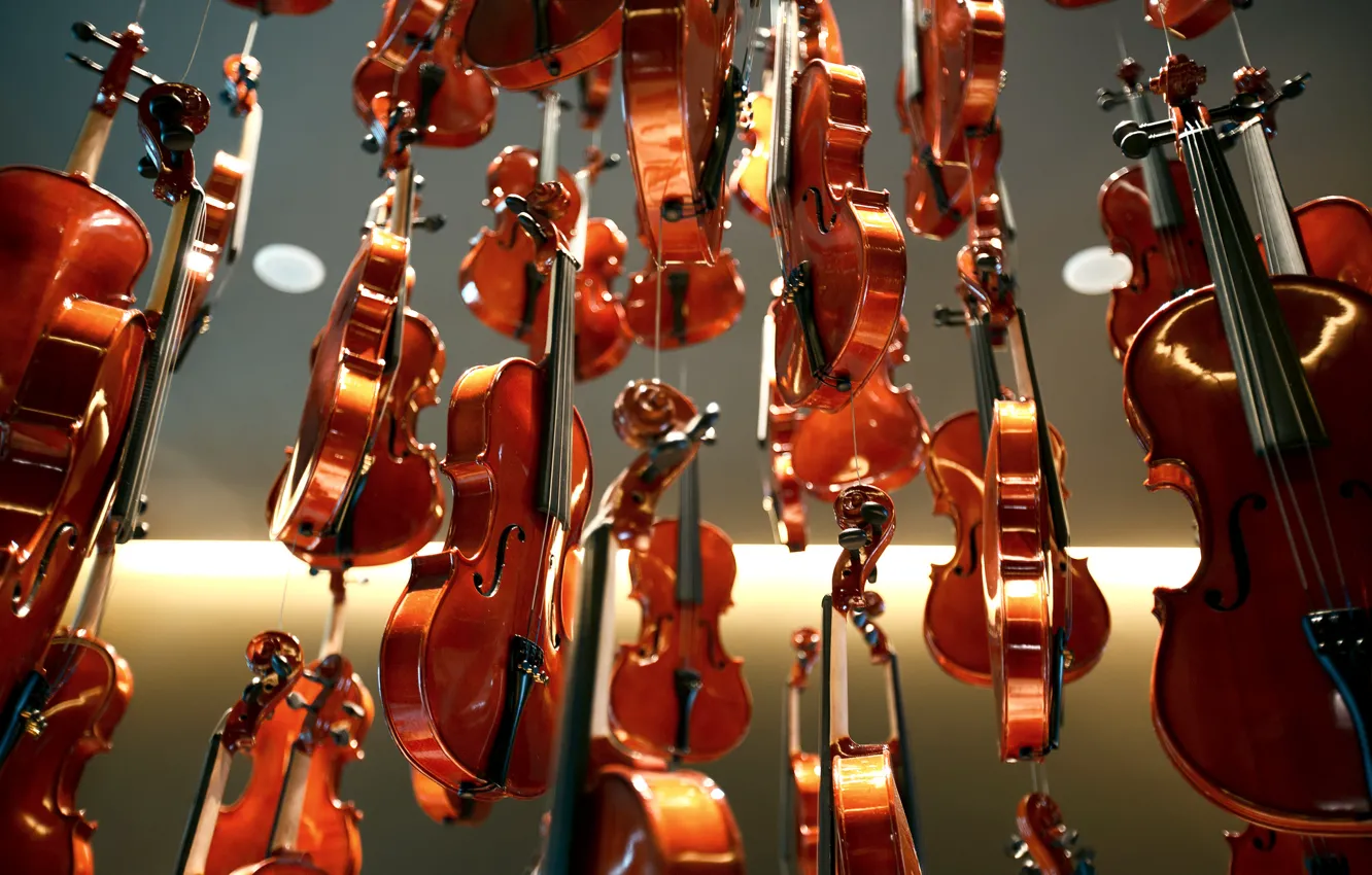 Фото обои фон, блеск, лак, скрипки, Violins