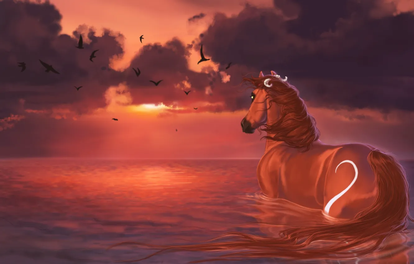 Фото обои вода, облака, закат, птицы, лошадь, живопись, sunset, water