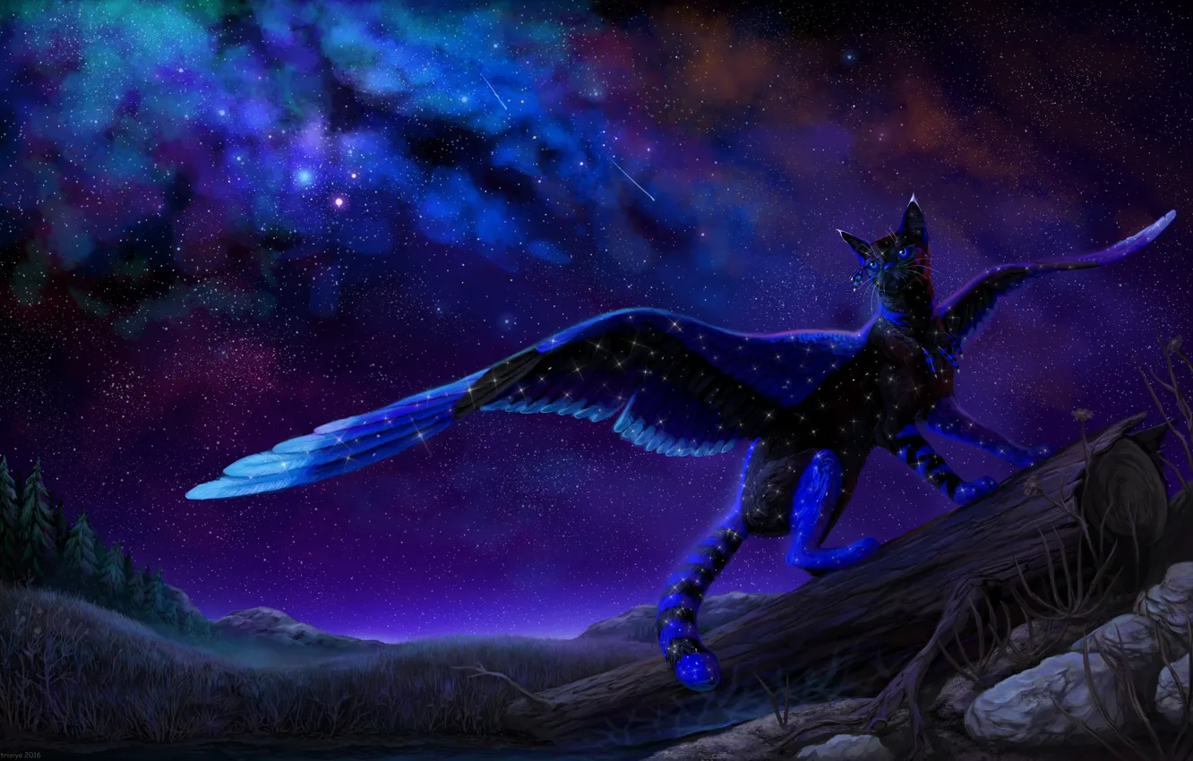 Фото обои небо, ночь, природа, фэнтези, крылатая кошка, by Cat-Patrisiya
