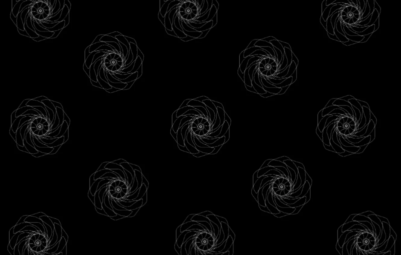 Фото обои линии, графика, текстура, чёрный фон, белые розы