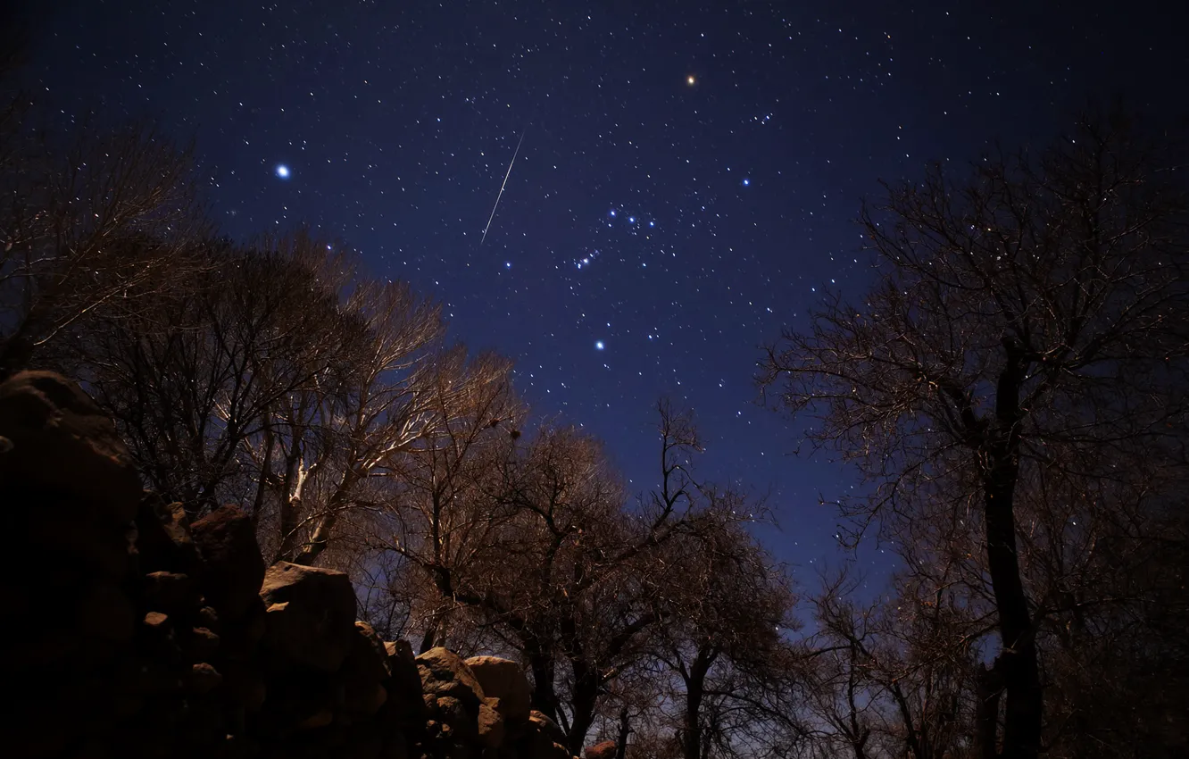 Фото обои звезды, метеор, Геминиды, Иран