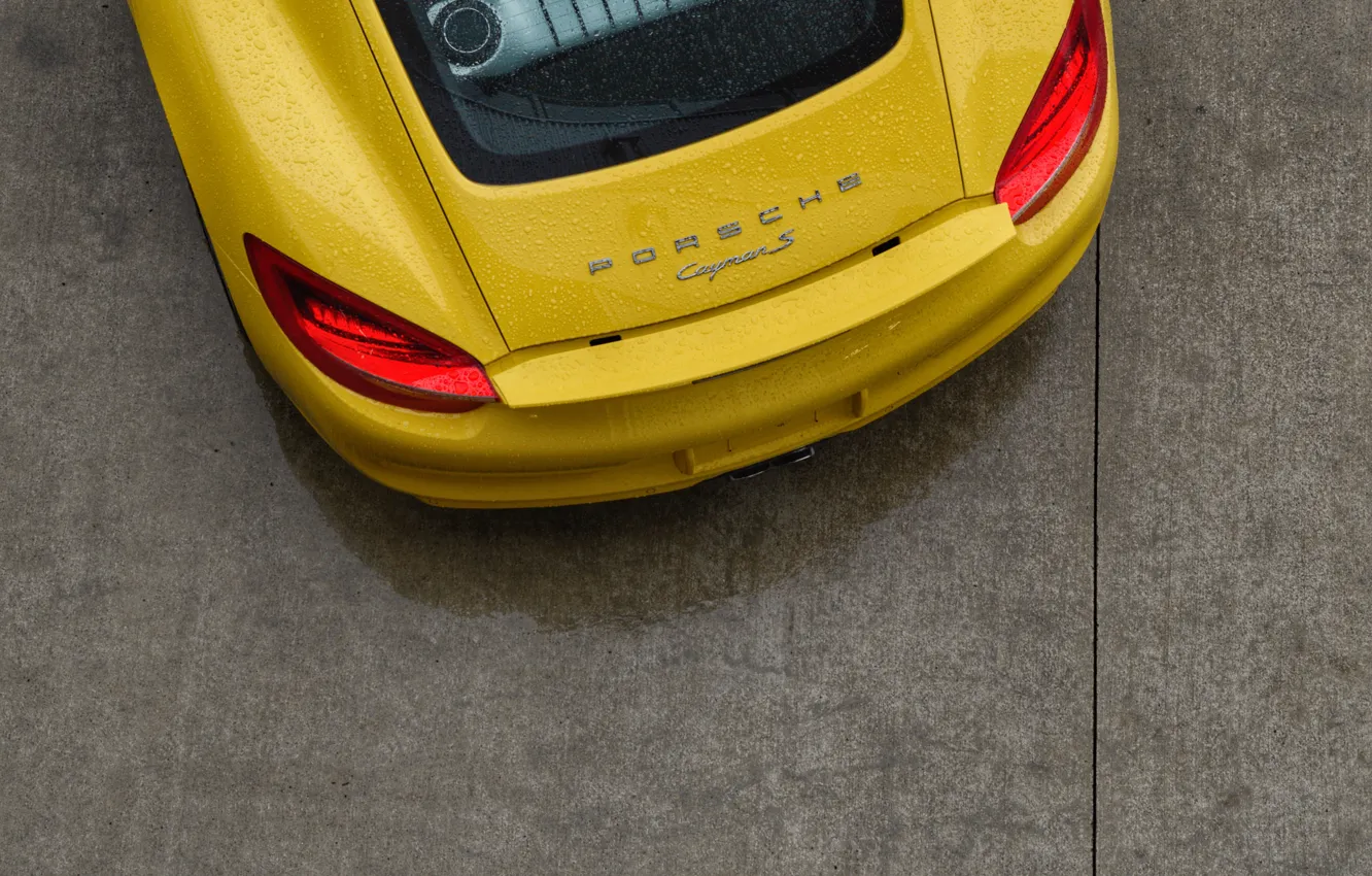 Фото обои машина, авто, зад, Дорога, Желтый, Porsche, Порш, Panamera