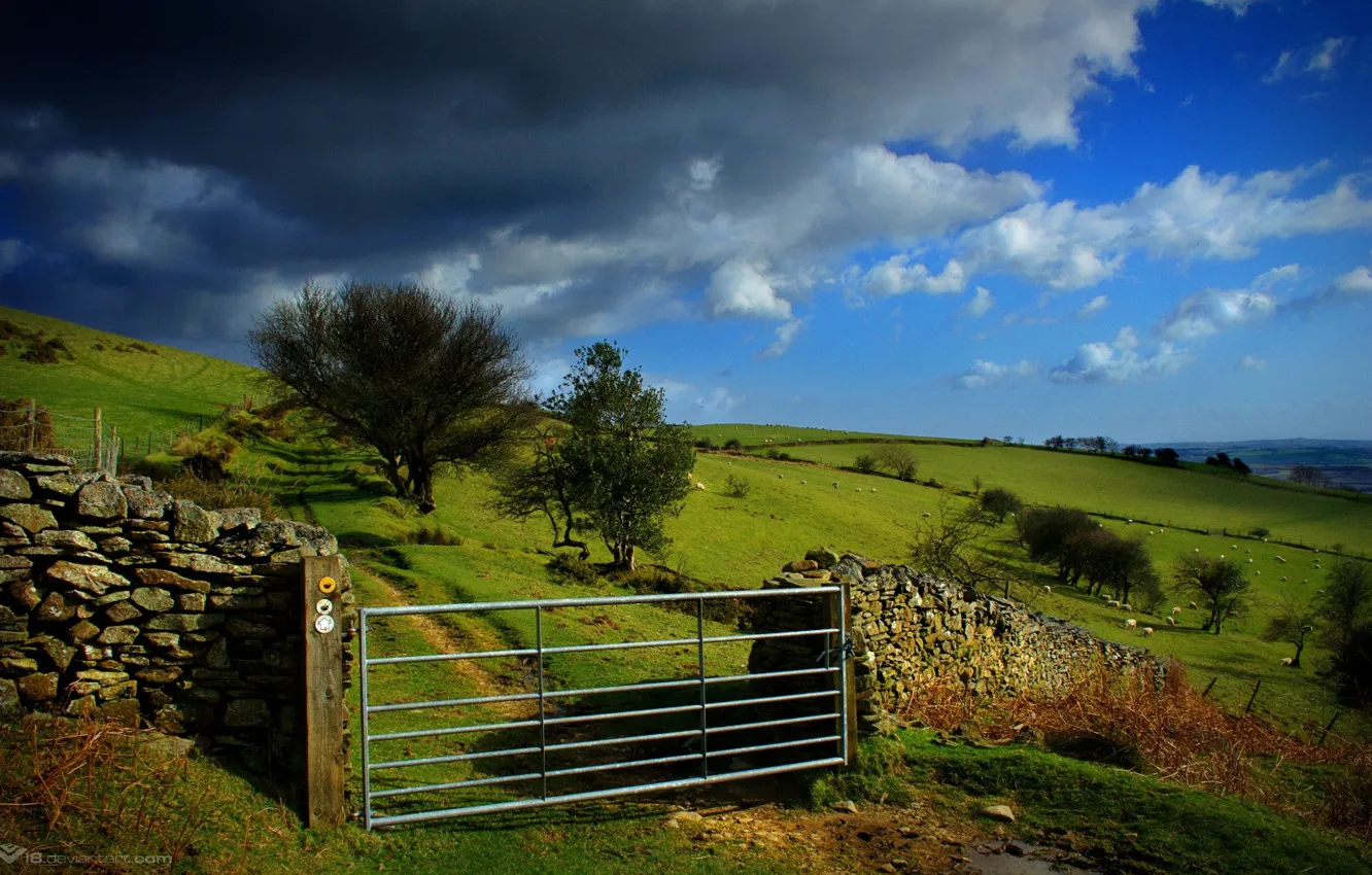 Фото обои поле, облака, ворота