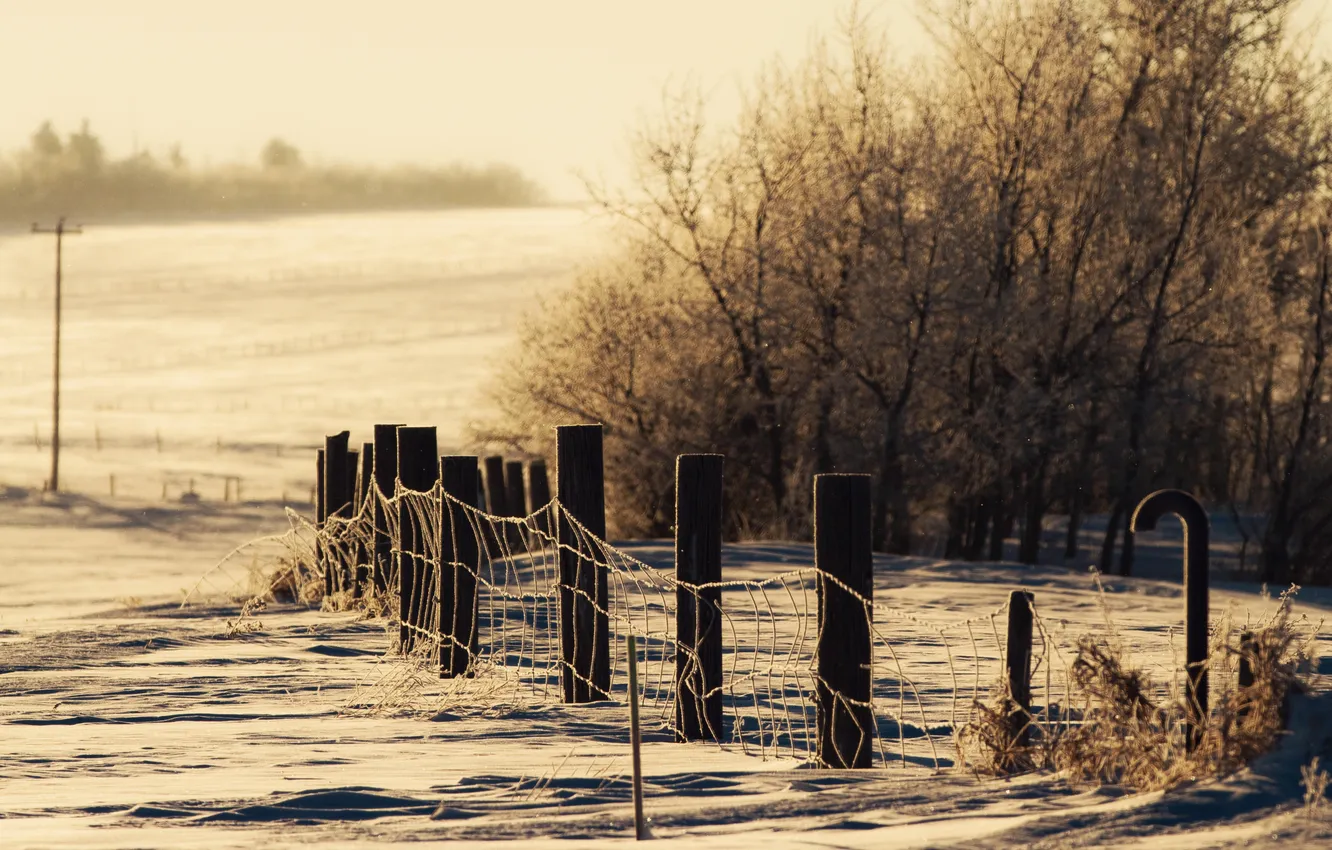 Фото обои зима, снег, природа, забор, тона