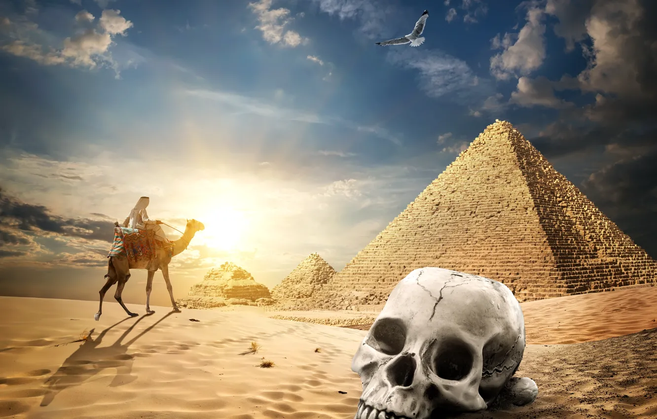 Фото обои песок, небо, солнце, облака, птица, пустыня, череп, верблюд