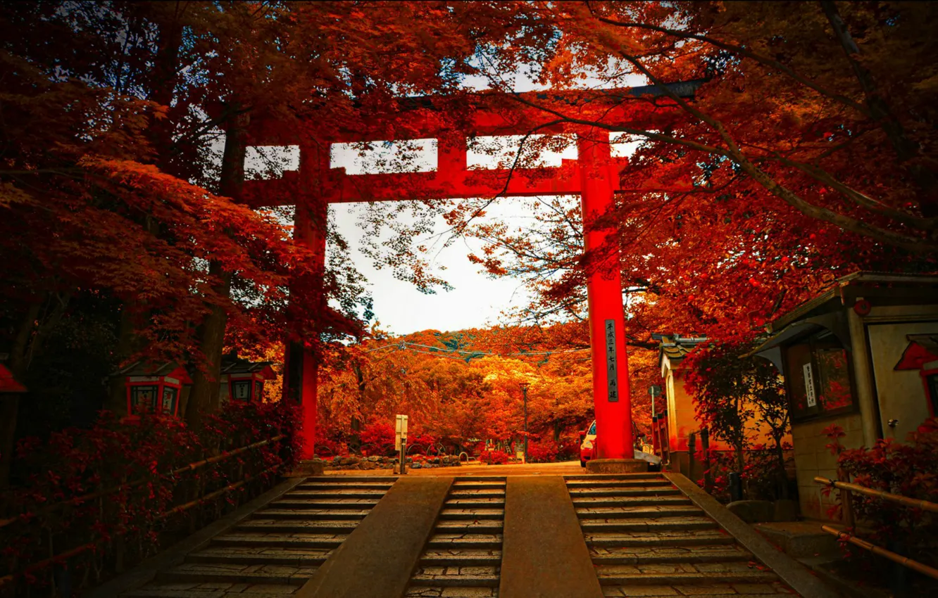 Фото обои осень, ворота, Япония, лестница, Japan