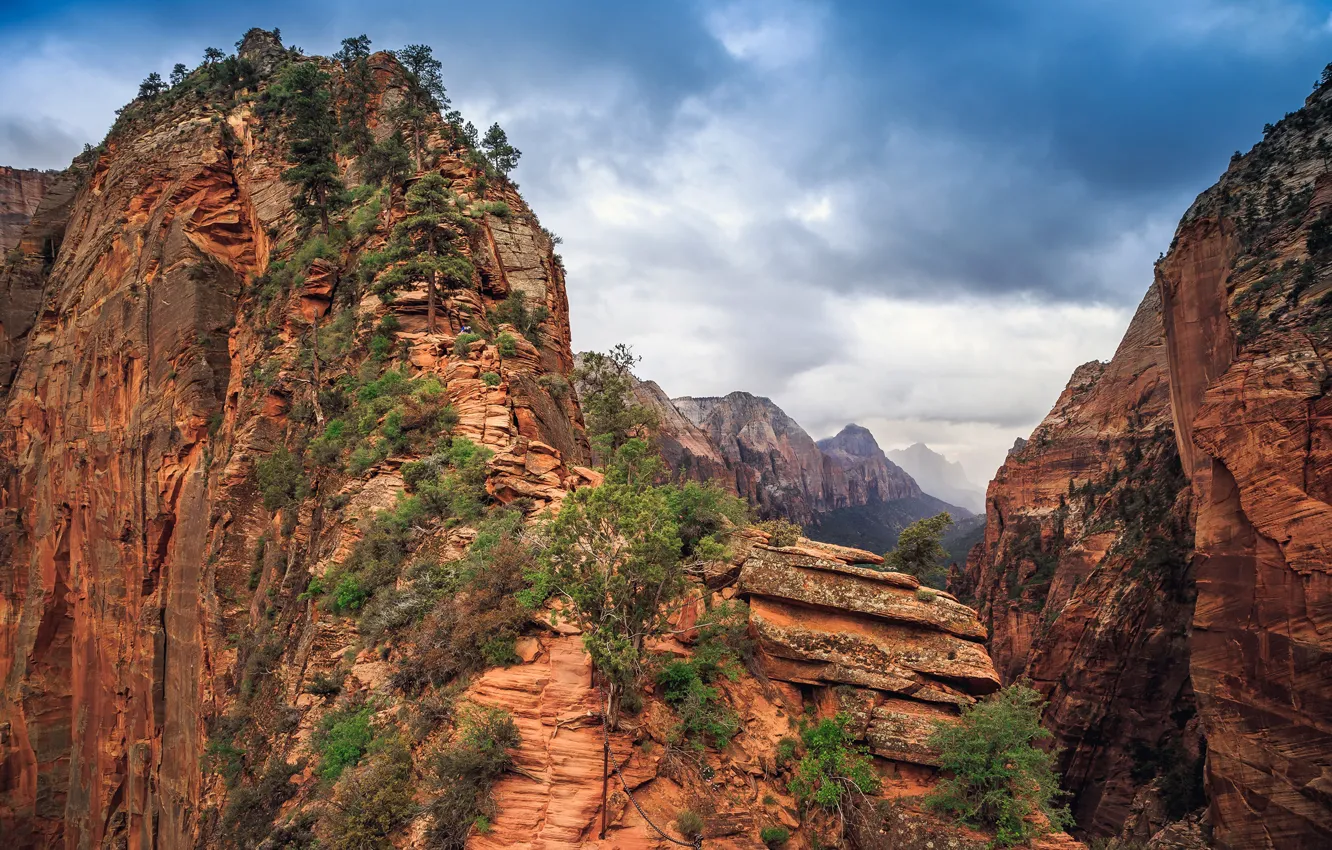 Фото обои облака, деревья, горы, камни, скалы, каньон, США, Zion National Park