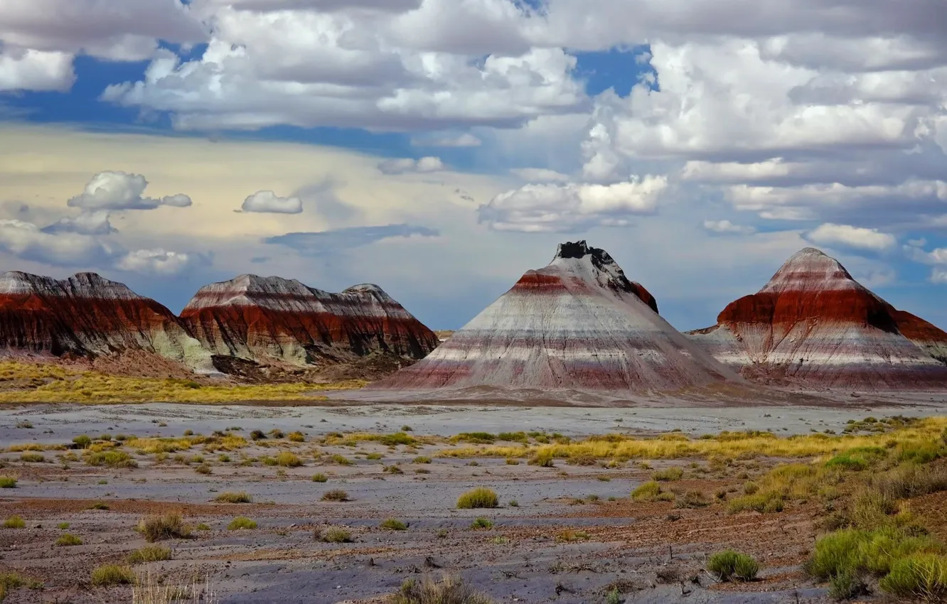 Фото обои горы, скалы, краски, Аризона, США, Petrified Forest National Park