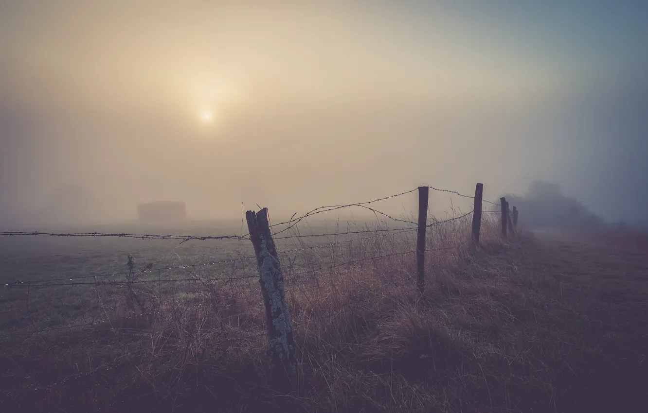Фото обои misty, field, morning, fog, fence, sunrise, dawn, drops