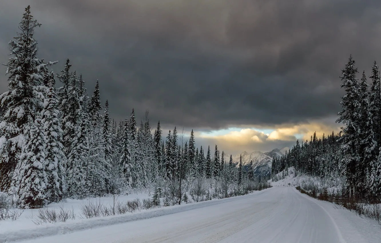 Фото обои дорога, лес, снег, горы, тучи, ели