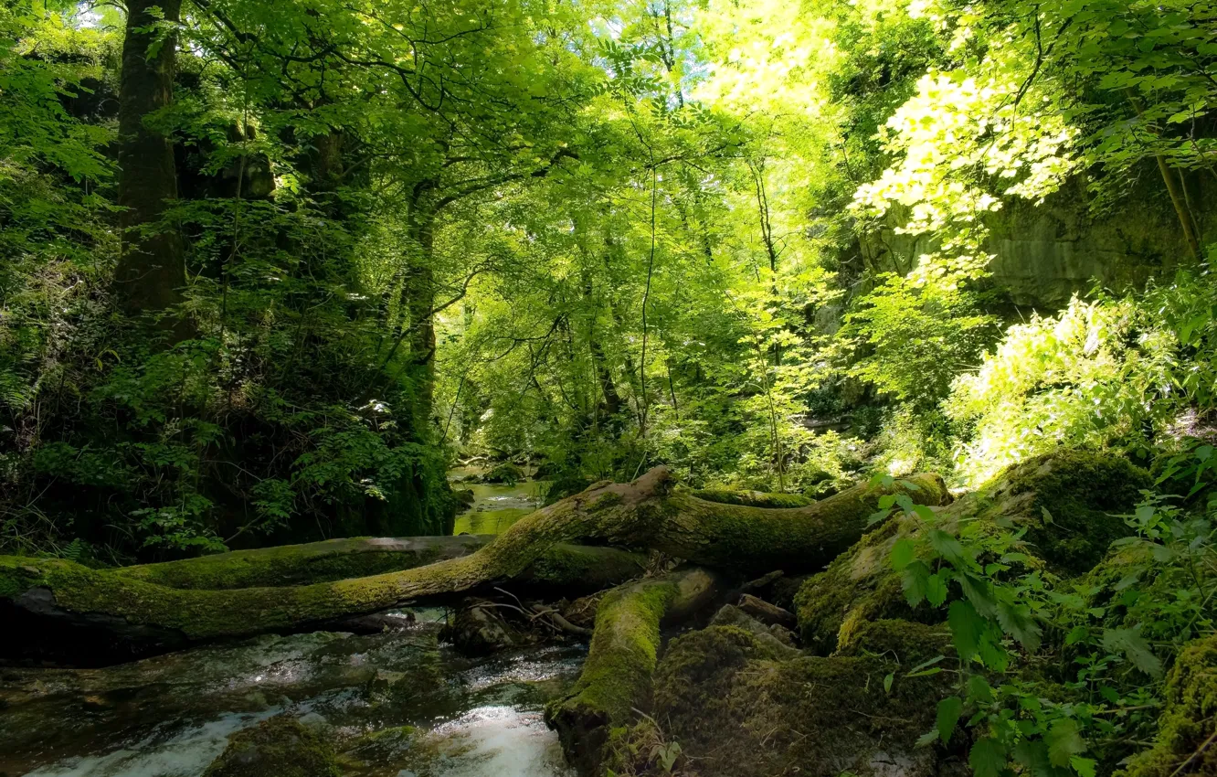 Фото обои Англия, Йоркшир, Yorkshire, Malham, Janet's Foss waterfall