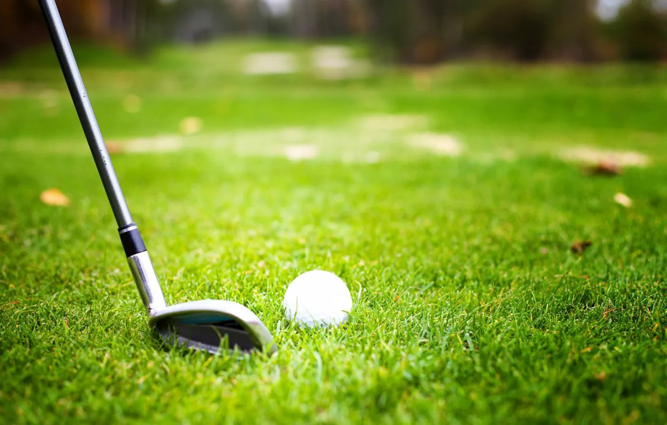 Фото обои grass, ball, player, golf club